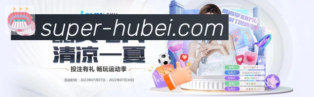 湖北体彩服务体系